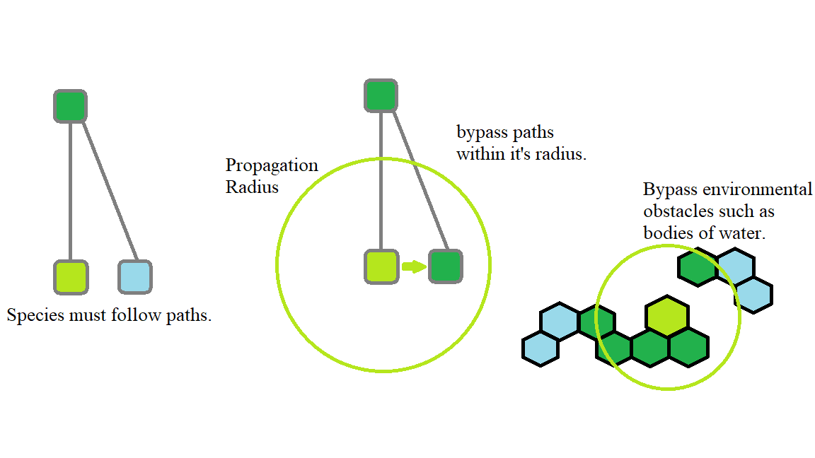 Propagation